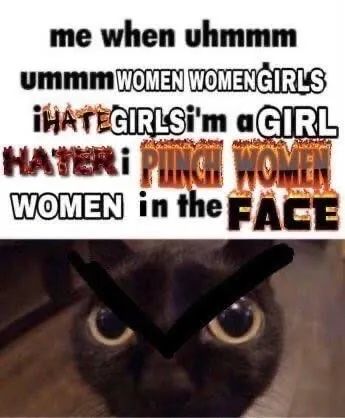 I Punch Women in the Face