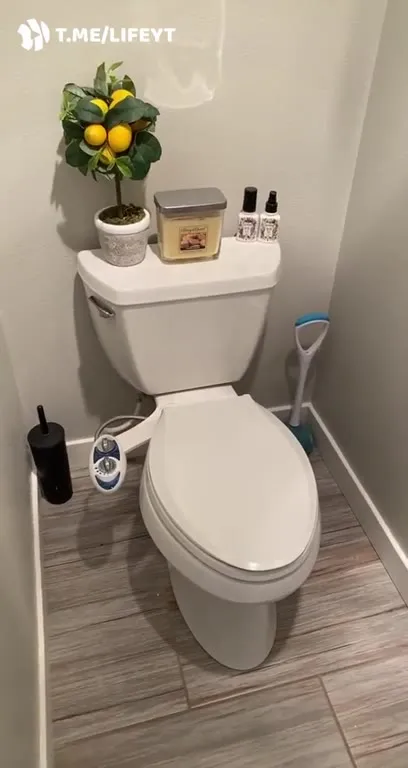 Discovering the Bathroom Bidet