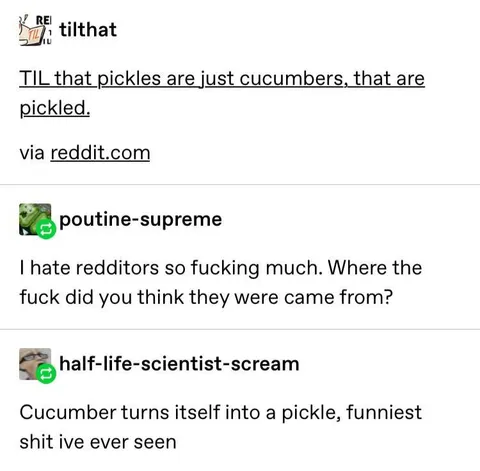 Pickles Are Just Pickled Cucumbers