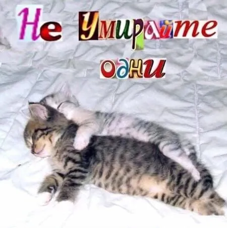Не умирайте одни