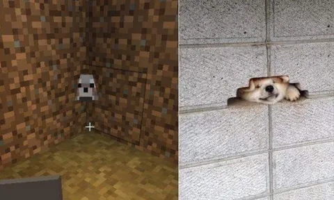 Собака в углу Minecraft