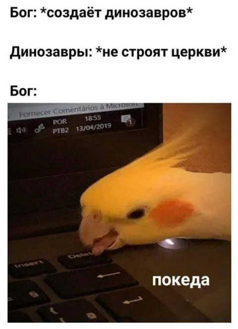 Бог печатает покеда