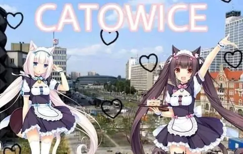 Catgirls in Catowwice