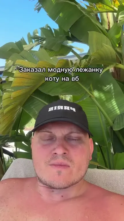 Котиха освоила лежанку за день