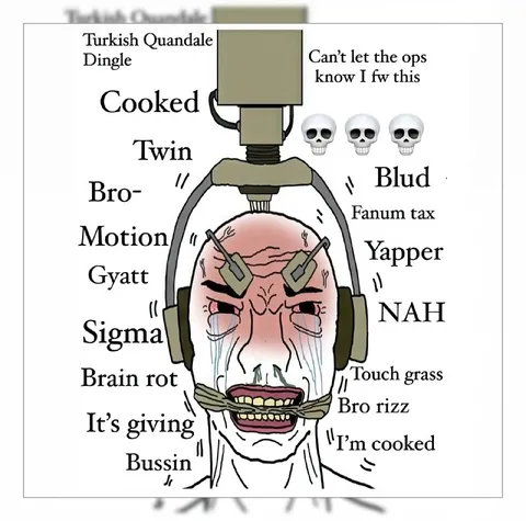 Turkish Quandale Dingle Brain Rot