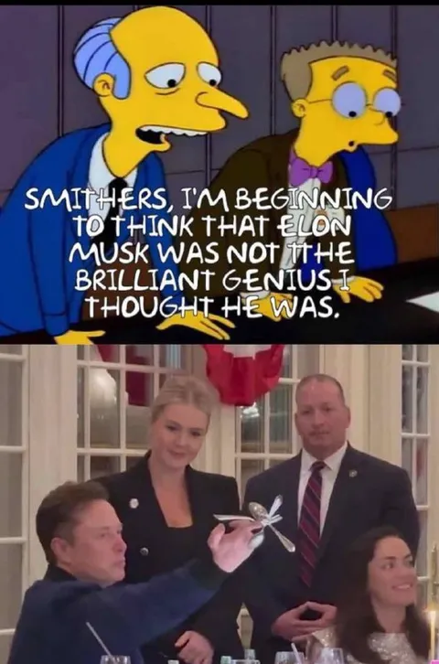 Elon Musk Was Not a Genius