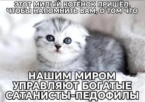 Милый котёнок и богатые сатанисты