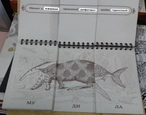 Мудила из раскладушки