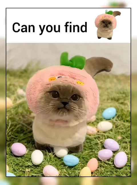 Can You Find the Cat