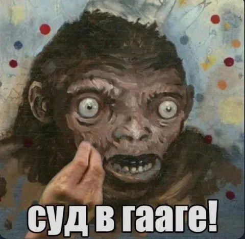 Судь в Гааге
