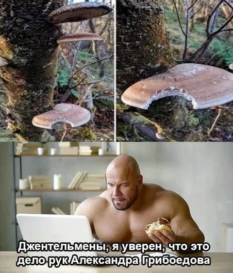 Дело рук Александра Грибоедова
