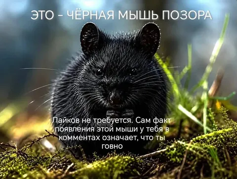 Чёрная мышь позора