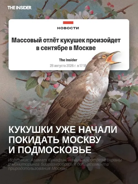 Кукушки покидают Москву