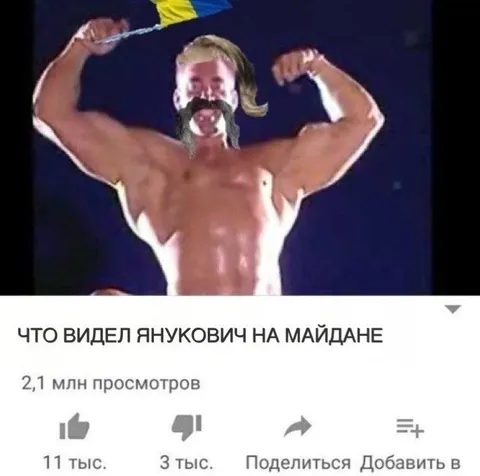 Что увидел Янукович на Майдане