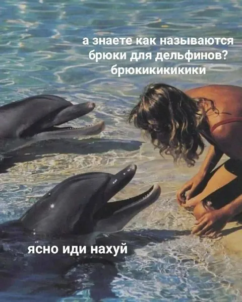 Брюки для дельфинов