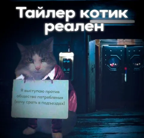 Тайлер котик против общества
