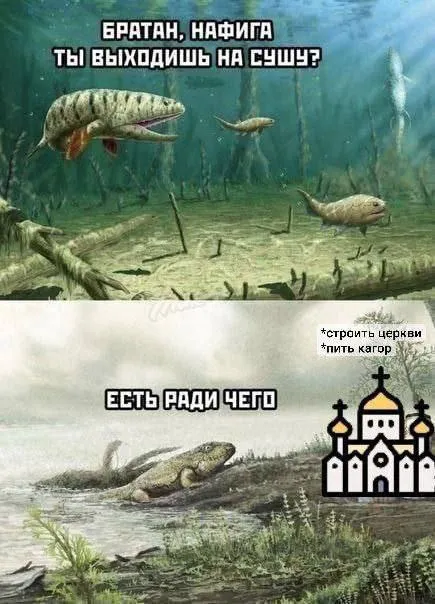 Рыба выходит на сушу ради церкви