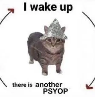 Another Psyop Cat