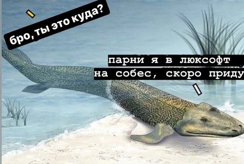 Тиктаалик на собеседовании