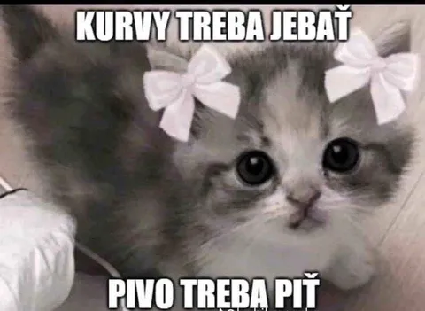 Kurvy treba jebať, pivo treba piť