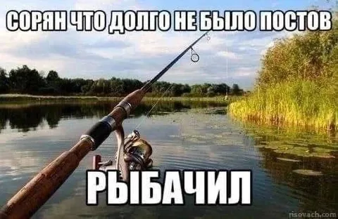 Сорян что долго не было постов