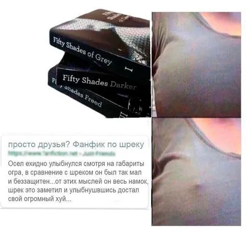 Фанфик про Шрека и Осла
