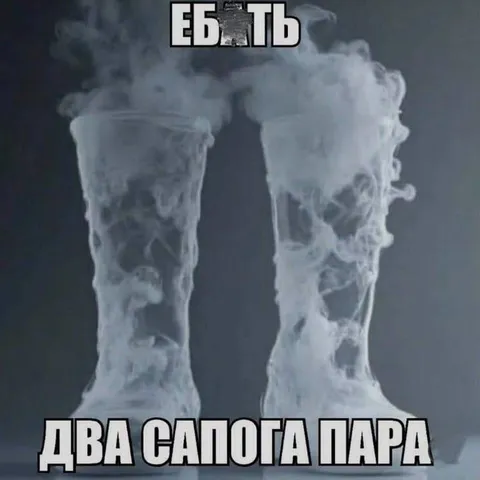 Два сапога — пара