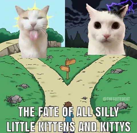 The Fate of Silly Little Kittens