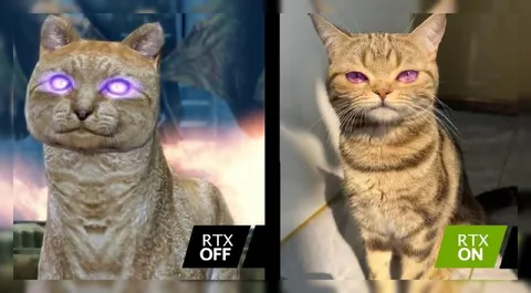 RTX On Off Cat