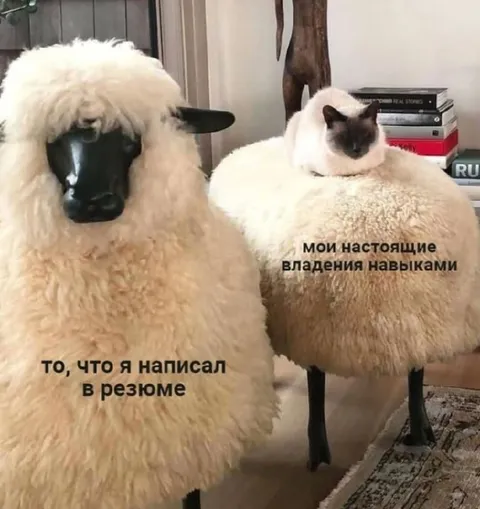 Настоящие владения навыками
