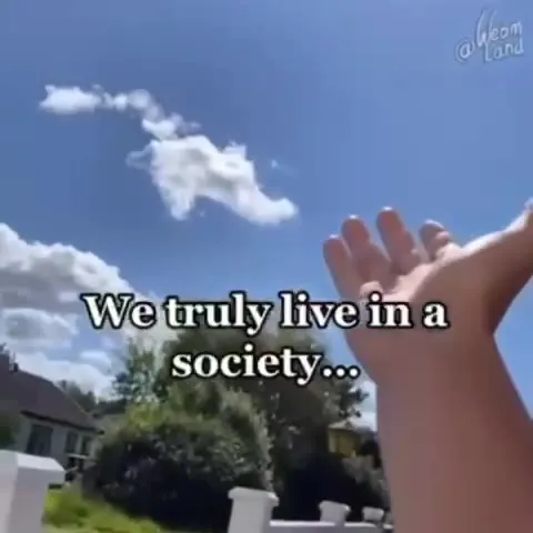 We truly live in a society