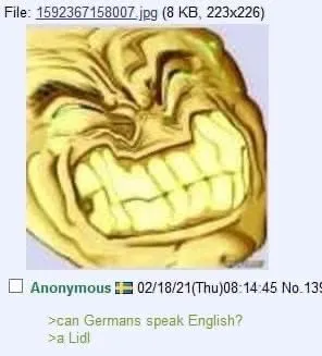 Can Germans Speak English?