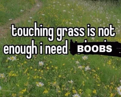 Touching Grass Is Not Enough