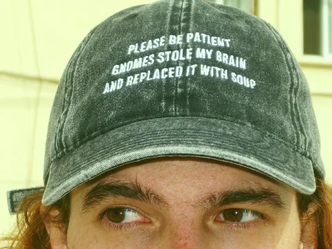 Gnomes Replaced My Brain With Soup