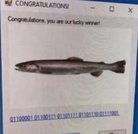 Lucky Winner Gets a Fish