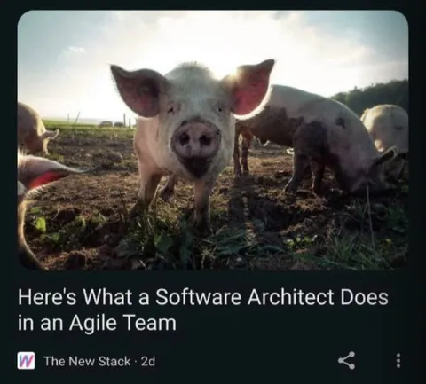 Software Architect in Agile Team