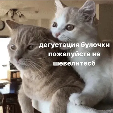 Дегустация булочки