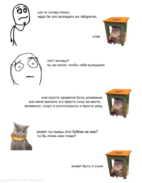 Кот под табуреткой