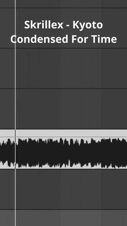 Skrillex Kyoto Condensed for Time