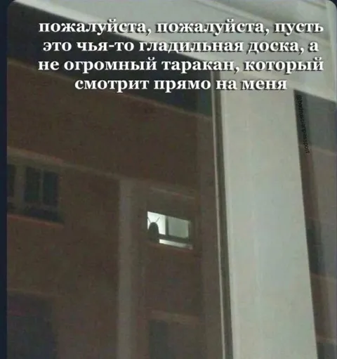 Огромный таракан смотрит прямо на меня