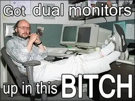 Got Dual Monitors