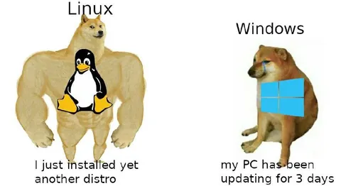 Linux Distro vs Windows Updates