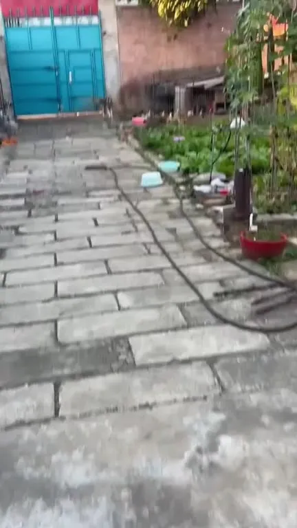 Кот в бегущем тазике