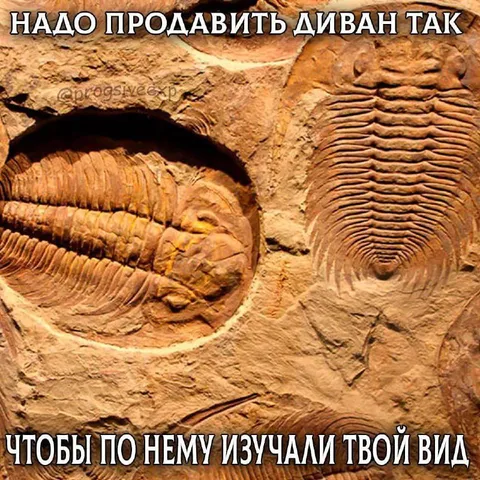 Продать диван для изучения вида