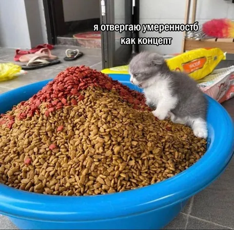 Отвергаю умеренность как концепт