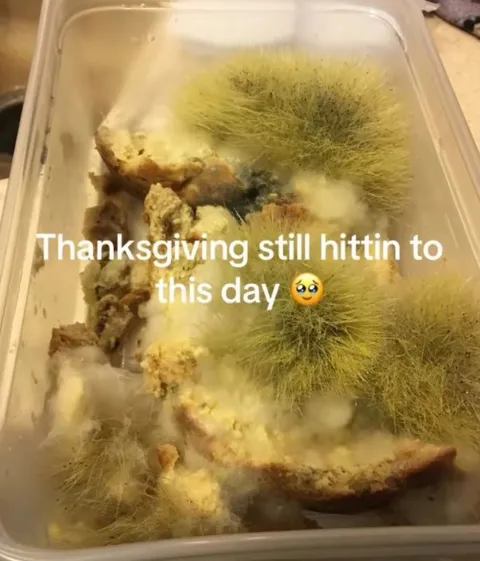 Thanksgiving Still Hittin