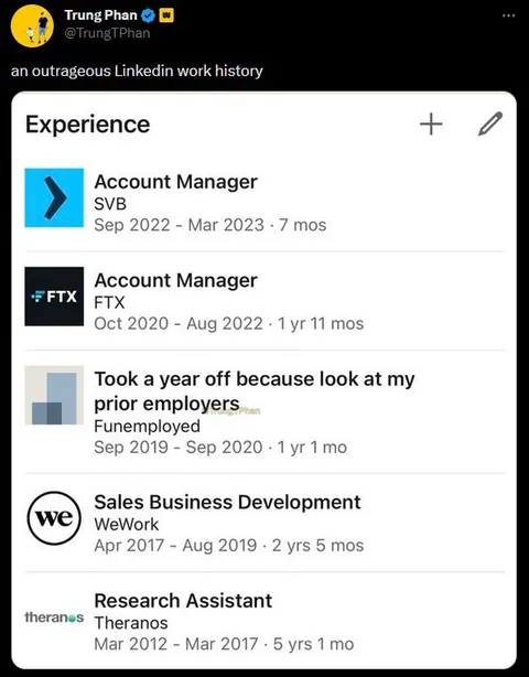 Outrageous LinkedIn Work History
