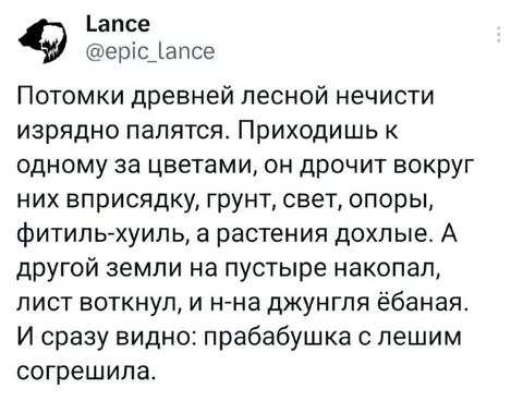 Потомки древней лесной нечисти