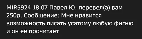 Писать усатому любую фигню