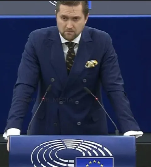 Куплинов в Европарламенте